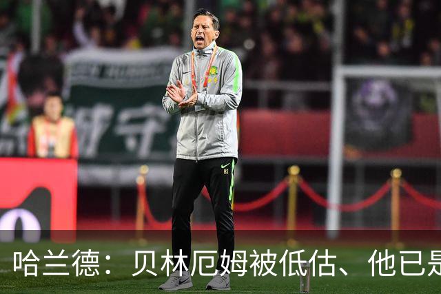 哈兰德：贝林厄姆被低估、他已是顶级 希望英格兰能夺得世界杯